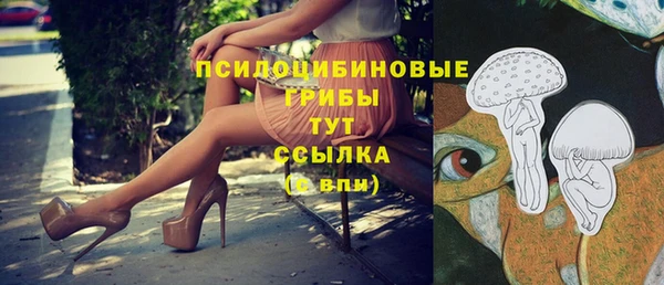 не бодяженный Алзамай
